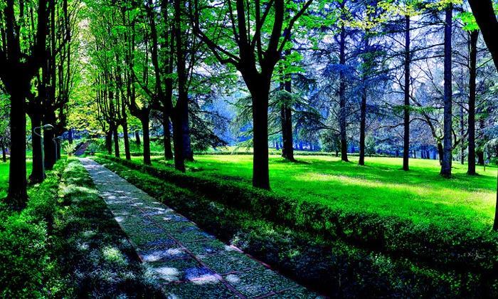Hotel Terme Monticelli Terme Exterior photo
